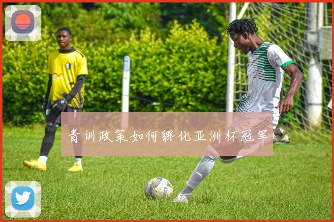 青训政策如何孵化亚洲杯冠军