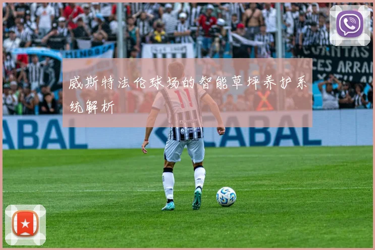 威斯特法伦球场的智能草坪养护系统解析