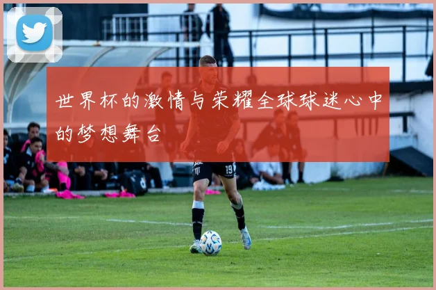 世界杯的激情与荣耀全球球迷心中的梦想舞台
