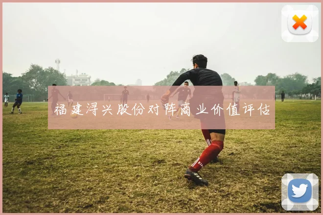 福建浔兴股份对阵商业价值评估